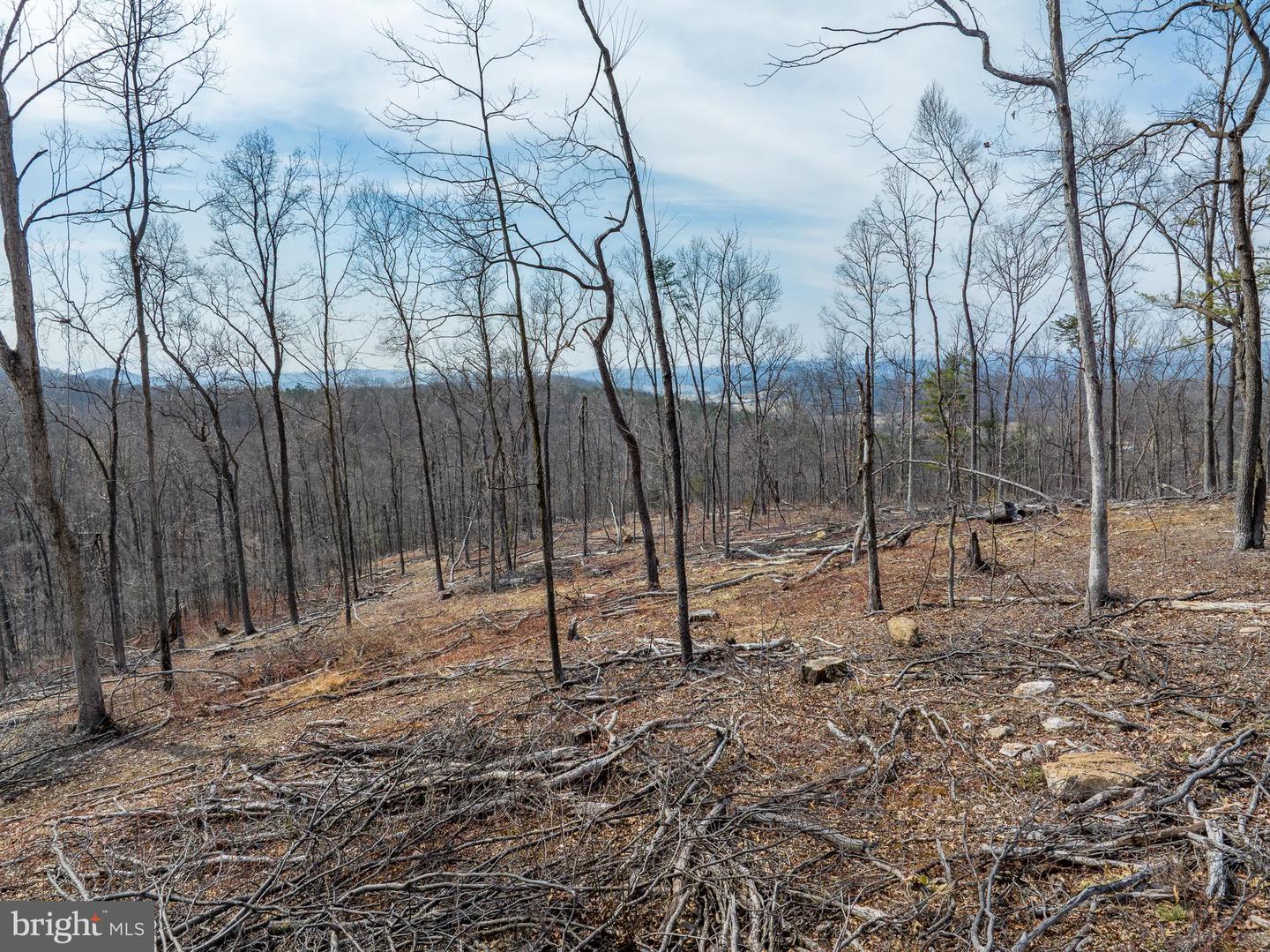 0 MOCKINGBIRD LANE- LOT 21, MOUNT JACKSON, Virginia 22842, ,Land,For sale,0 MOCKINGBIRD LANE- LOT 21,VASH2011104 MLS # VASH2011104 0 MOCKINGBIRD LANE- LOT 21, MOUNT JACKSON, Virginia 22842, ,Land,For sale,0 MOCKINGBIRD LANE- LOT 21,VASH2011104 MLS # VASH2011104