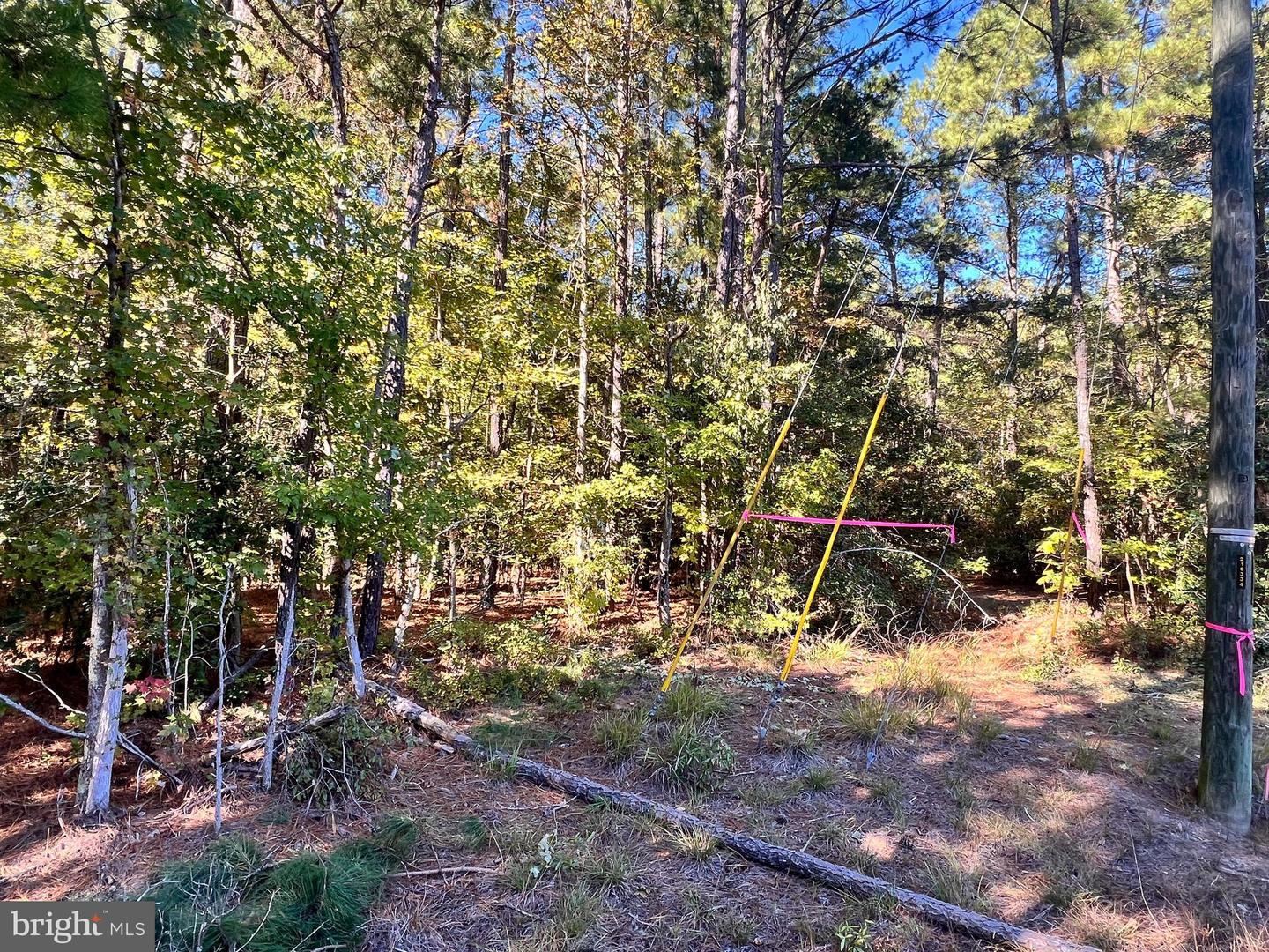 N GLEBE, MONTROSS, Virginia 22520, ,Land,For sale,N GLEBE,VAWE2010038 MLS # VAWE2010038 N GLEBE, MONTROSS, Virginia 22520, ,Land,For sale,N GLEBE,VAWE2010038 MLS # VAWE2010038