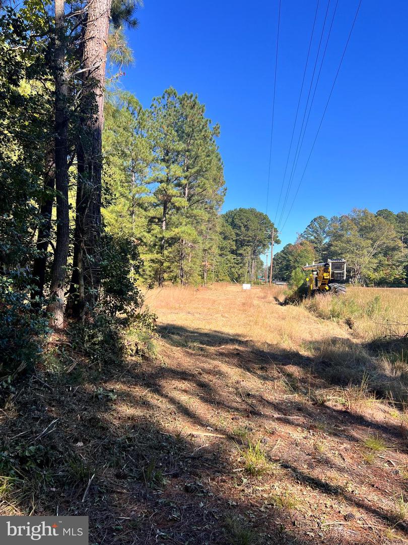 N GLEBE, MONTROSS, Virginia 22520, ,Land,For sale,N GLEBE,VAWE2010038 MLS # VAWE2010038 N GLEBE, MONTROSS, Virginia 22520, ,Land,For sale,N GLEBE,VAWE2010038 MLS # VAWE2010038