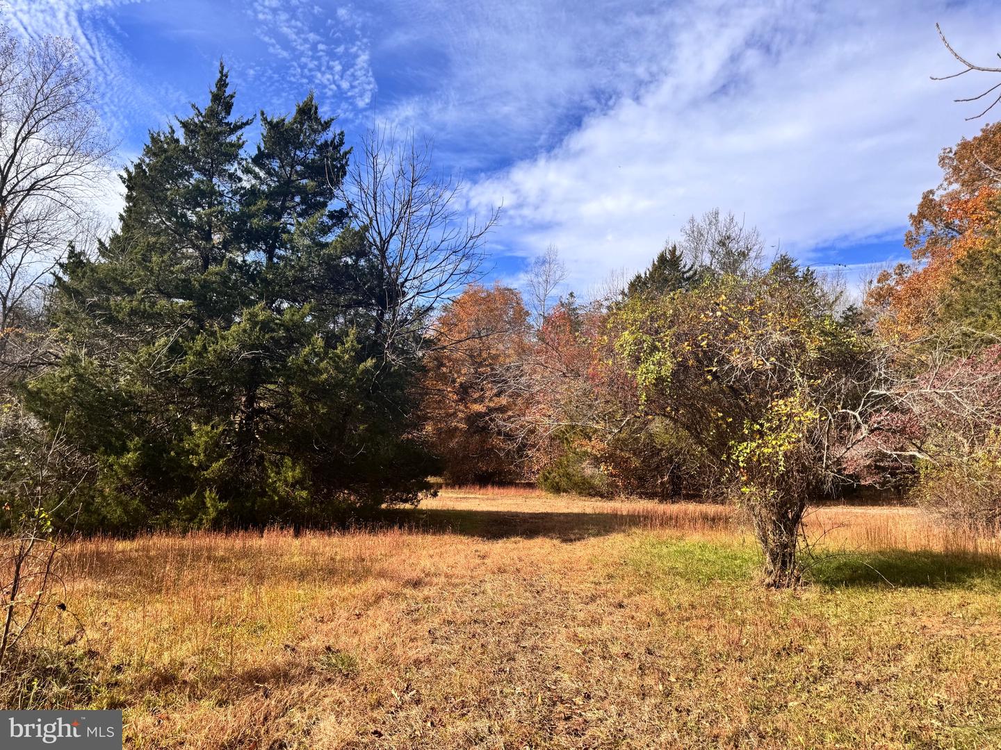 432 LITTLE RIVER FARMS RD, BUMPASS, Virginia 23024, ,Land,For sale,432 LITTLE RIVER FARMS RD,VALA2008826 MLS # VALA2008826 432 LITTLE RIVER FARMS RD, BUMPASS, Virginia 23024, ,Land,For sale,432 LITTLE RIVER FARMS RD,VALA2008826 MLS # VALA2008826