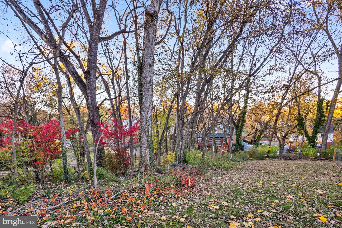 0 ORCHARD ST #LOT 1, FRONT ROYAL, Virginia 22630, ,Land,For sale,0 ORCHARD ST #LOT 1,VAWR2012712 MLS # VAWR2012712 0 ORCHARD ST #LOT 1, FRONT ROYAL, Virginia 22630, ,Land,For sale,0 ORCHARD ST #LOT 1,VAWR2012712 MLS # VAWR2012712