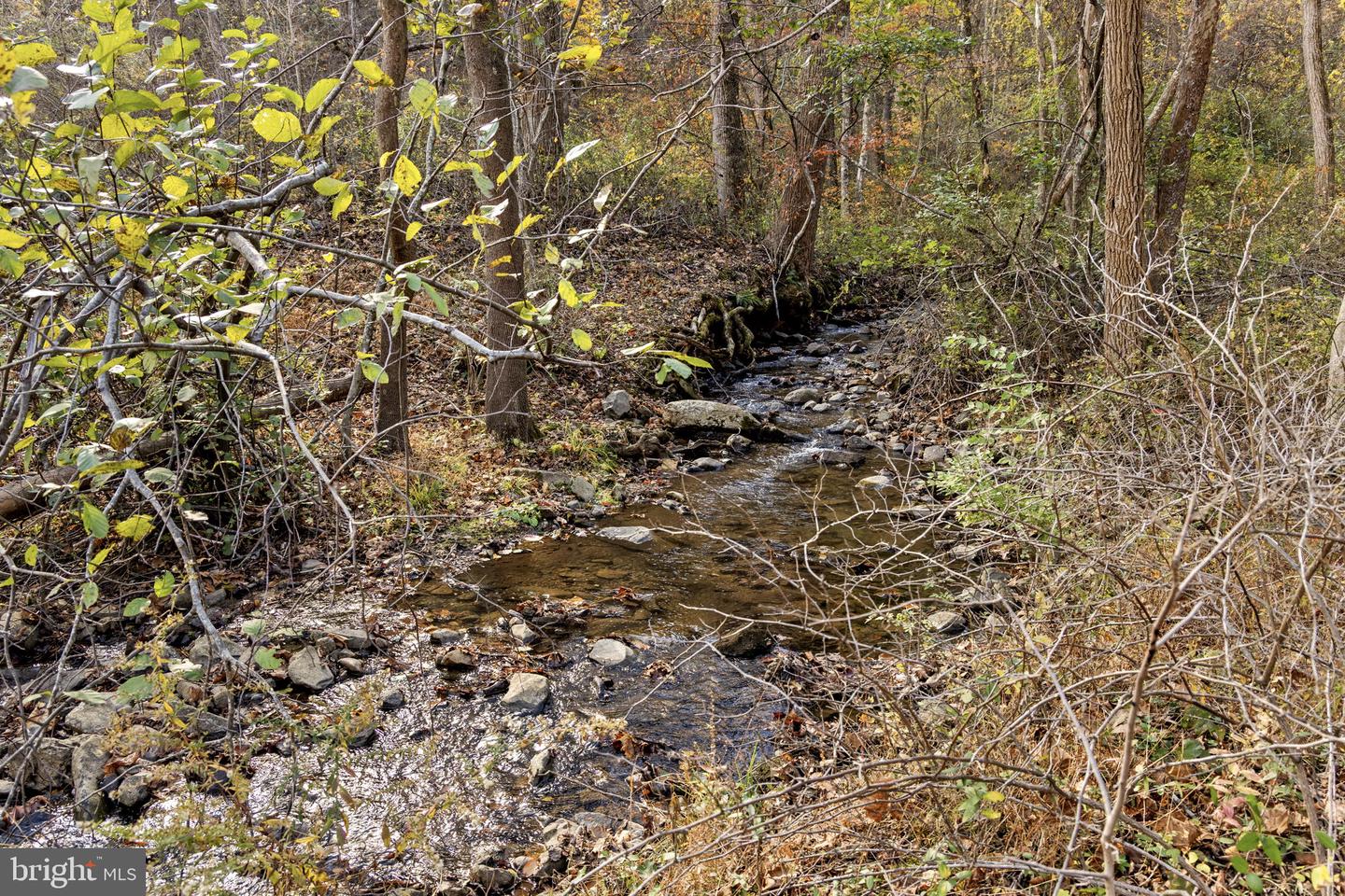 0 GID BROWN HOLLOW, WASHINGTON, Virginia 22747, ,Land,For sale,0 GID BROWN HOLLOW,VARP2002378 MLS # VARP2002378 0 GID BROWN HOLLOW, WASHINGTON, Virginia 22747, ,Land,For sale,0 GID BROWN HOLLOW,VARP2002378 MLS # VARP2002378