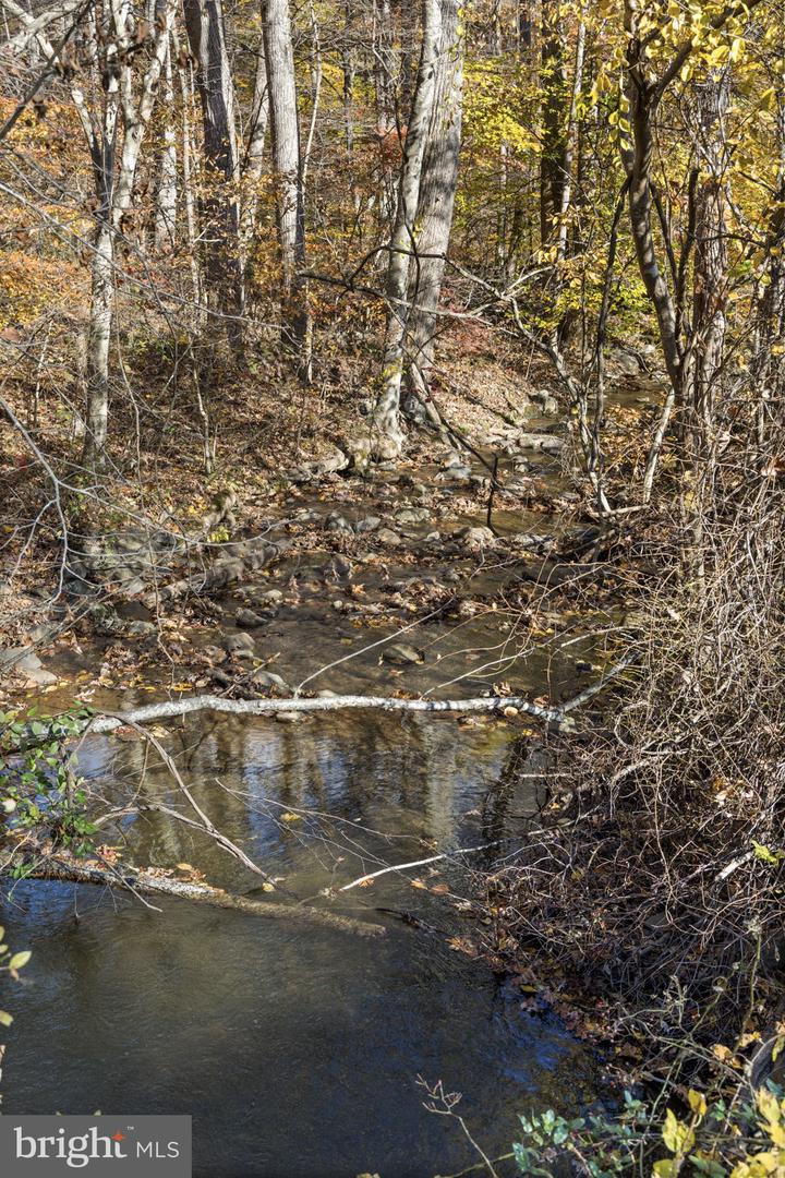 0 GID BROWN HOLLOW, WASHINGTON, Virginia 22747, ,Land,For sale,0 GID BROWN HOLLOW,VARP2002378 MLS # VARP2002378 0 GID BROWN HOLLOW, WASHINGTON, Virginia 22747, ,Land,For sale,0 GID BROWN HOLLOW,VARP2002378 MLS # VARP2002378
