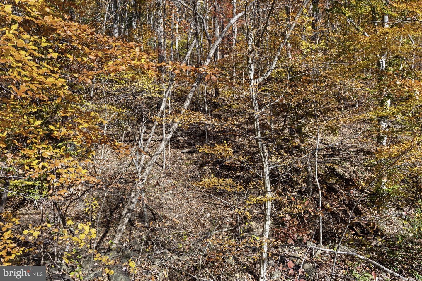 0 GID BROWN HOLLOW, WASHINGTON, Virginia 22747, ,Land,For sale,0 GID BROWN HOLLOW,VARP2002378 MLS # VARP2002378 0 GID BROWN HOLLOW, WASHINGTON, Virginia 22747, ,Land,For sale,0 GID BROWN HOLLOW,VARP2002378 MLS # VARP2002378