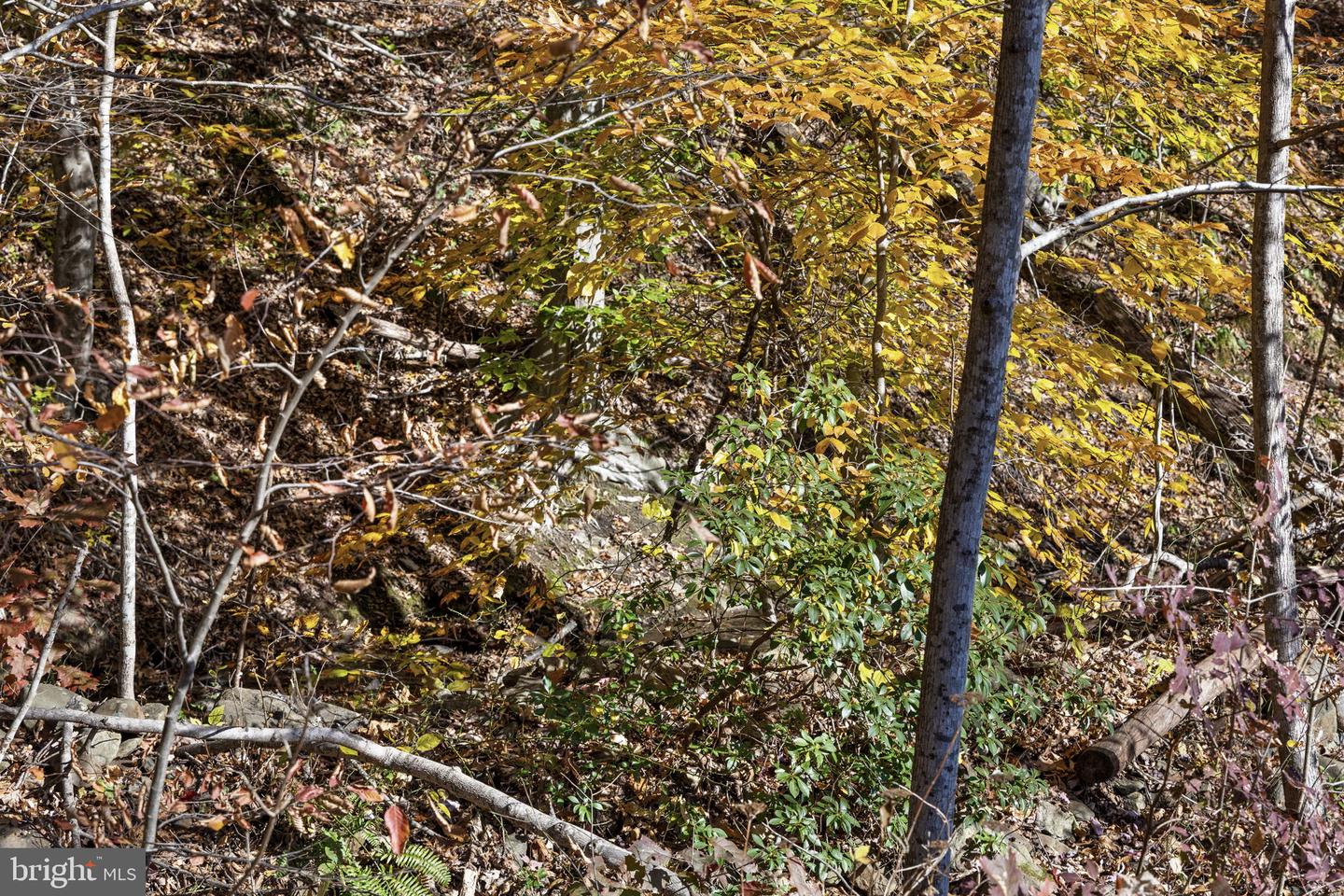 0 GID BROWN HOLLOW, WASHINGTON, Virginia 22747, ,Land,For sale,0 GID BROWN HOLLOW,VARP2002378 MLS # VARP2002378 0 GID BROWN HOLLOW, WASHINGTON, Virginia 22747, ,Land,For sale,0 GID BROWN HOLLOW,VARP2002378 MLS # VARP2002378