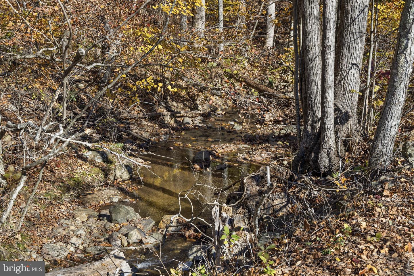 0 GID BROWN HOLLOW, WASHINGTON, Virginia 22747, ,Land,For sale,0 GID BROWN HOLLOW,VARP2002378 MLS # VARP2002378 0 GID BROWN HOLLOW, WASHINGTON, Virginia 22747, ,Land,For sale,0 GID BROWN HOLLOW,VARP2002378 MLS # VARP2002378