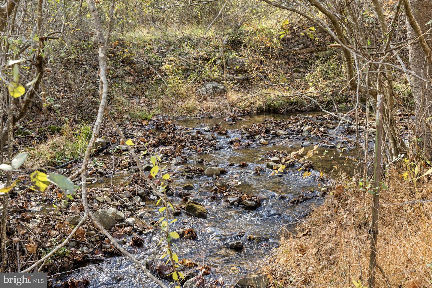 0 GID BROWN HOLLOW, WASHINGTON, Virginia 22747, ,Land,For sale,0 GID BROWN HOLLOW,VARP2002378 MLS # VARP2002378 0 GID BROWN HOLLOW, WASHINGTON, Virginia 22747, ,Land,For sale,0 GID BROWN HOLLOW,VARP2002378 MLS # VARP2002378