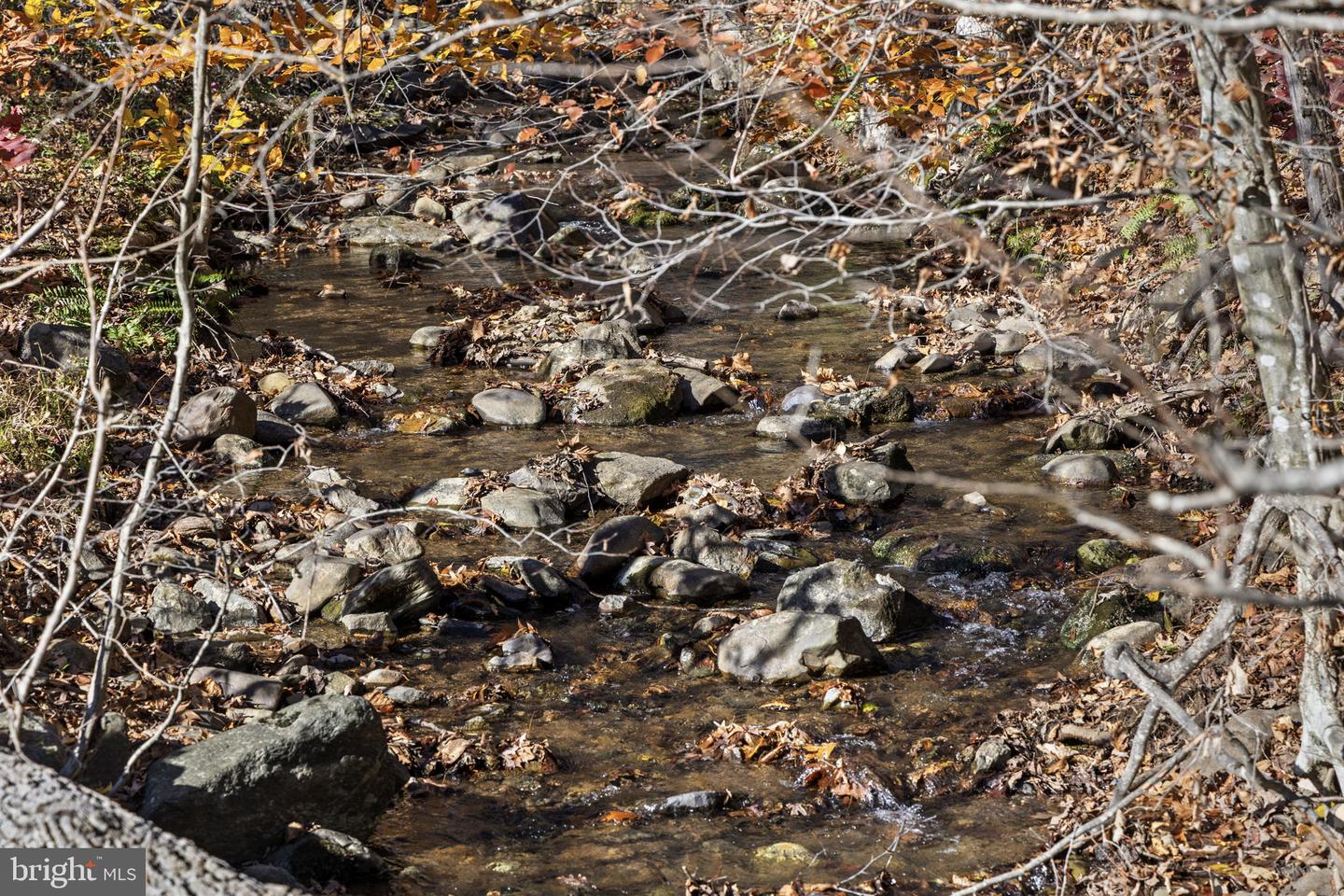 0 GID BROWN HOLLOW, WASHINGTON, Virginia 22747, ,Land,For sale,0 GID BROWN HOLLOW,VARP2002378 MLS # VARP2002378 0 GID BROWN HOLLOW, WASHINGTON, Virginia 22747, ,Land,For sale,0 GID BROWN HOLLOW,VARP2002378 MLS # VARP2002378