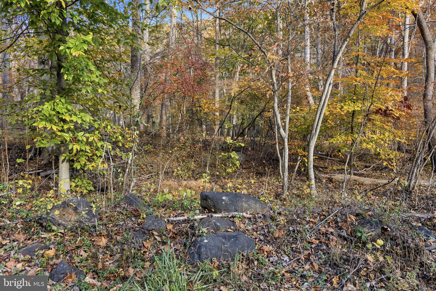 0 GID BROWN HOLLOW, WASHINGTON, Virginia 22747, ,Land,For sale,0 GID BROWN HOLLOW,VARP2002378 MLS # VARP2002378 0 GID BROWN HOLLOW, WASHINGTON, Virginia 22747, ,Land,For sale,0 GID BROWN HOLLOW,VARP2002378 MLS # VARP2002378