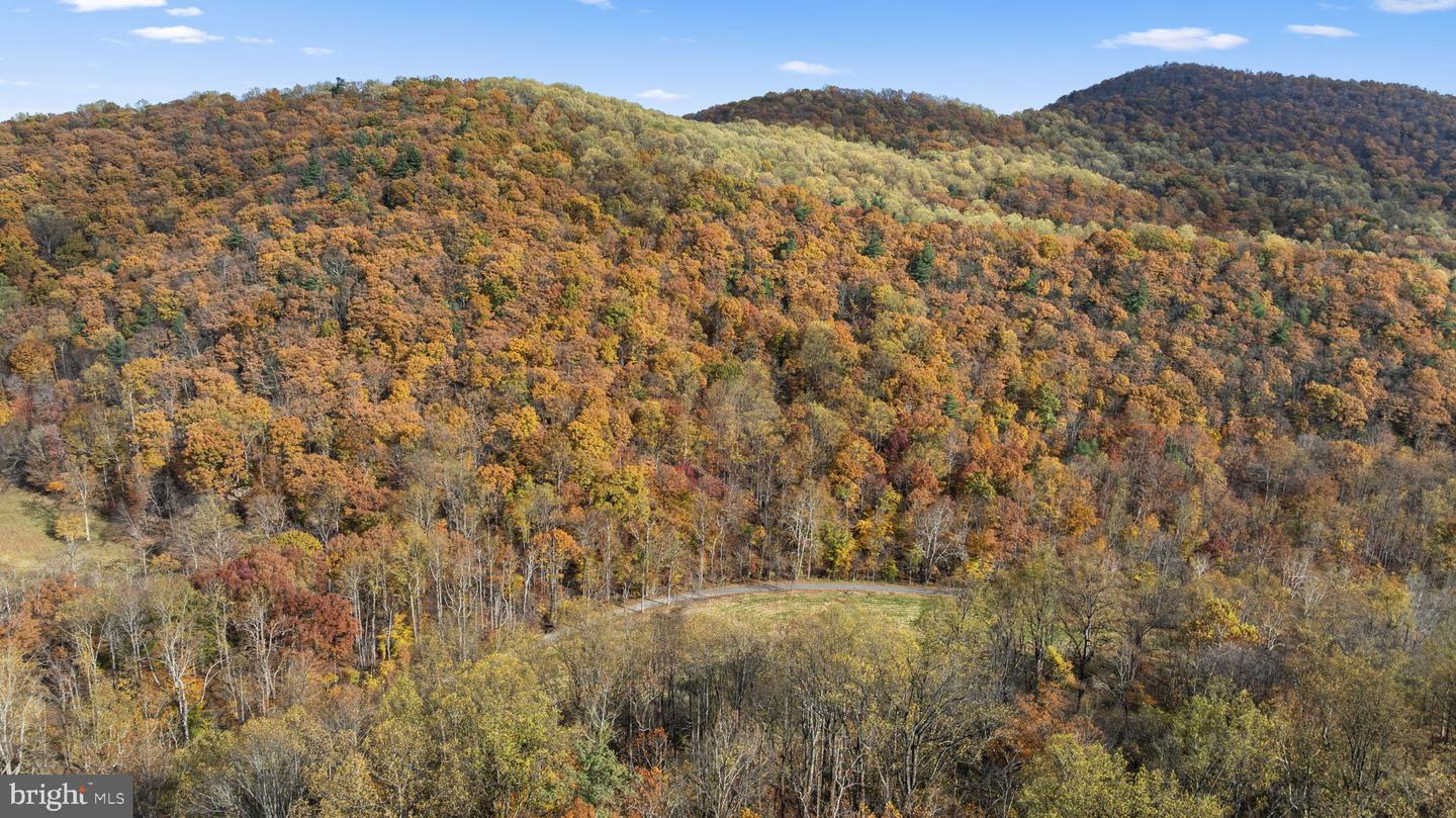 0 GID BROWN HOLLOW, WASHINGTON, Virginia 22747, ,Land,For sale,0 GID BROWN HOLLOW,VARP2002378 MLS # VARP2002378 0 GID BROWN HOLLOW, WASHINGTON, Virginia 22747, ,Land,For sale,0 GID BROWN HOLLOW,VARP2002378 MLS # VARP2002378