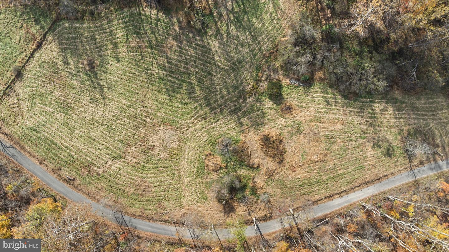 0 GID BROWN HOLLOW, WASHINGTON, Virginia 22747, ,Land,For sale,0 GID BROWN HOLLOW,VARP2002378 MLS # VARP2002378 0 GID BROWN HOLLOW, WASHINGTON, Virginia 22747, ,Land,For sale,0 GID BROWN HOLLOW,VARP2002378 MLS # VARP2002378