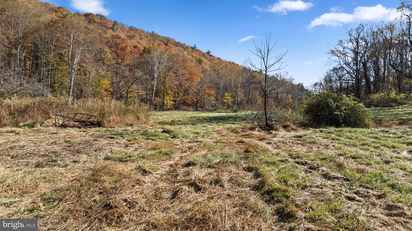 0 GID BROWN HOLLOW, WASHINGTON, Virginia 22747, ,Land,For sale,0 GID BROWN HOLLOW,VARP2002378 MLS # VARP2002378 0 GID BROWN HOLLOW, WASHINGTON, Virginia 22747, ,Land,For sale,0 GID BROWN HOLLOW,VARP2002378 MLS # VARP2002378