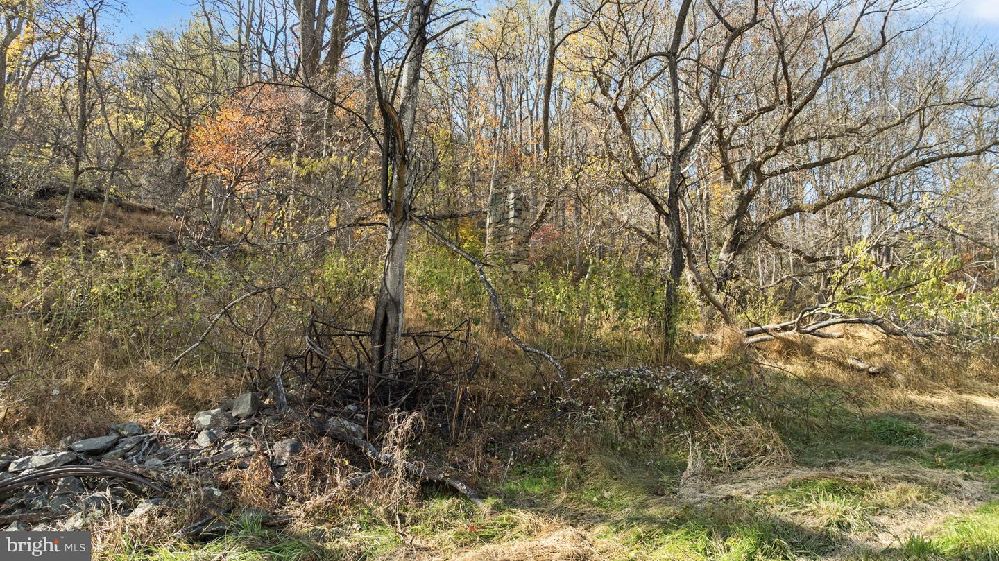 0 GID BROWN HOLLOW, WASHINGTON, Virginia 22747, ,Land,For sale,0 GID BROWN HOLLOW,VARP2002378 MLS # VARP2002378 0 GID BROWN HOLLOW, WASHINGTON, Virginia 22747, ,Land,For sale,0 GID BROWN HOLLOW,VARP2002378 MLS # VARP2002378