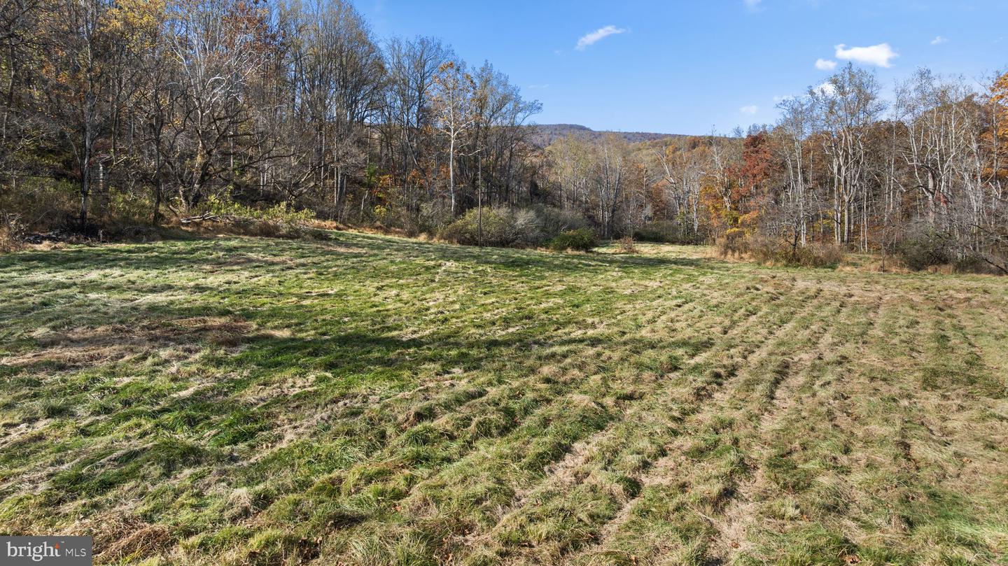 0 GID BROWN HOLLOW, WASHINGTON, Virginia 22747, ,Land,For sale,0 GID BROWN HOLLOW,VARP2002378 MLS # VARP2002378 0 GID BROWN HOLLOW, WASHINGTON, Virginia 22747, ,Land,For sale,0 GID BROWN HOLLOW,VARP2002378 MLS # VARP2002378