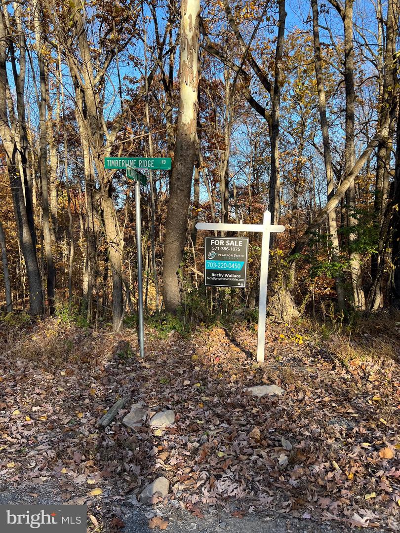 0 TIMBERLINE RIDGE RD, FRONT ROYAL, Virginia 22630, ,Land,For sale,0 TIMBERLINE RIDGE RD,VAWR2012716 MLS # VAWR2012716 0 TIMBERLINE RIDGE RD, FRONT ROYAL, Virginia 22630, ,Land,For sale,0 TIMBERLINE RIDGE RD,VAWR2012716 MLS # VAWR2012716