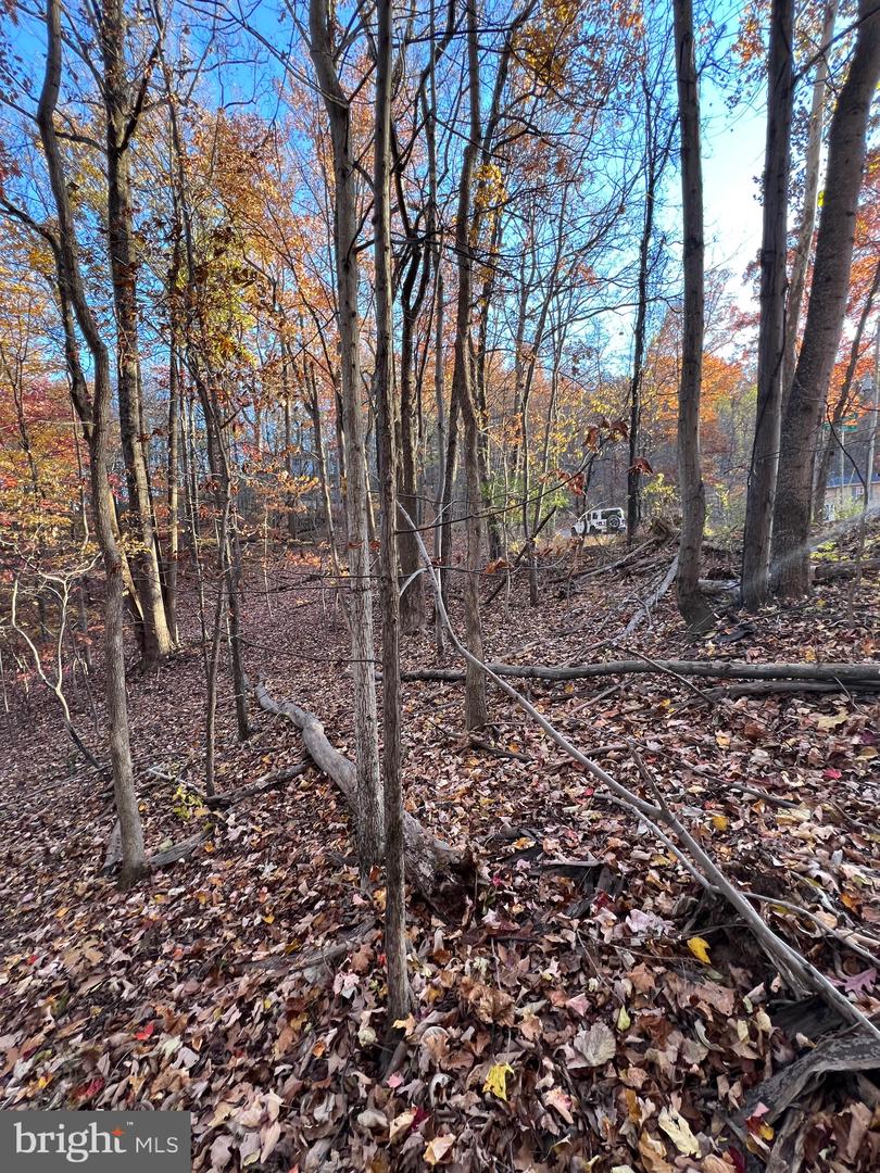 0 TIMBERLINE RIDGE RD, FRONT ROYAL, Virginia 22630, ,Land,For sale,0 TIMBERLINE RIDGE RD,VAWR2012716 MLS # VAWR2012716 0 TIMBERLINE RIDGE RD, FRONT ROYAL, Virginia 22630, ,Land,For sale,0 TIMBERLINE RIDGE RD,VAWR2012716 MLS # VAWR2012716