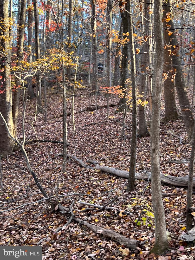 0 TIMBERLINE RIDGE RD, FRONT ROYAL, Virginia 22630, ,Land,For sale,0 TIMBERLINE RIDGE RD,VAWR2012716 MLS # VAWR2012716 0 TIMBERLINE RIDGE RD, FRONT ROYAL, Virginia 22630, ,Land,For sale,0 TIMBERLINE RIDGE RD,VAWR2012716 MLS # VAWR2012716