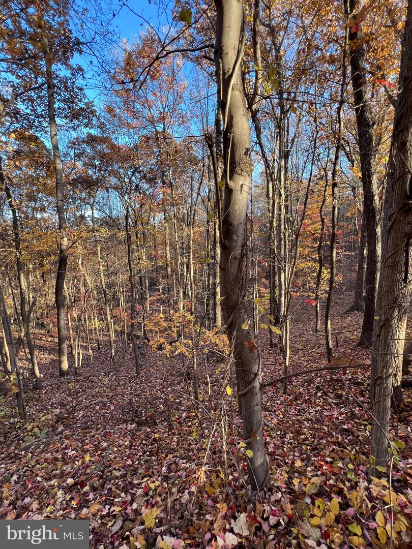 0 TIMBERLINE RIDGE RD, FRONT ROYAL, Virginia 22630, ,Land,For sale,0 TIMBERLINE RIDGE RD,VAWR2012716 MLS # VAWR2012716 0 TIMBERLINE RIDGE RD, FRONT ROYAL, Virginia 22630, ,Land,For sale,0 TIMBERLINE RIDGE RD,VAWR2012716 MLS # VAWR2012716