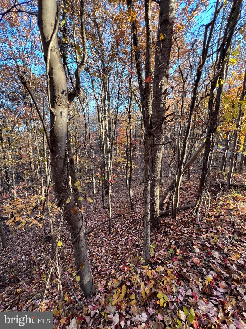 0 TIMBERLINE RIDGE RD, FRONT ROYAL, Virginia 22630, ,Land,For sale,0 TIMBERLINE RIDGE RD,VAWR2012716 MLS # VAWR2012716 0 TIMBERLINE RIDGE RD, FRONT ROYAL, Virginia 22630, ,Land,For sale,0 TIMBERLINE RIDGE RD,VAWR2012716 MLS # VAWR2012716