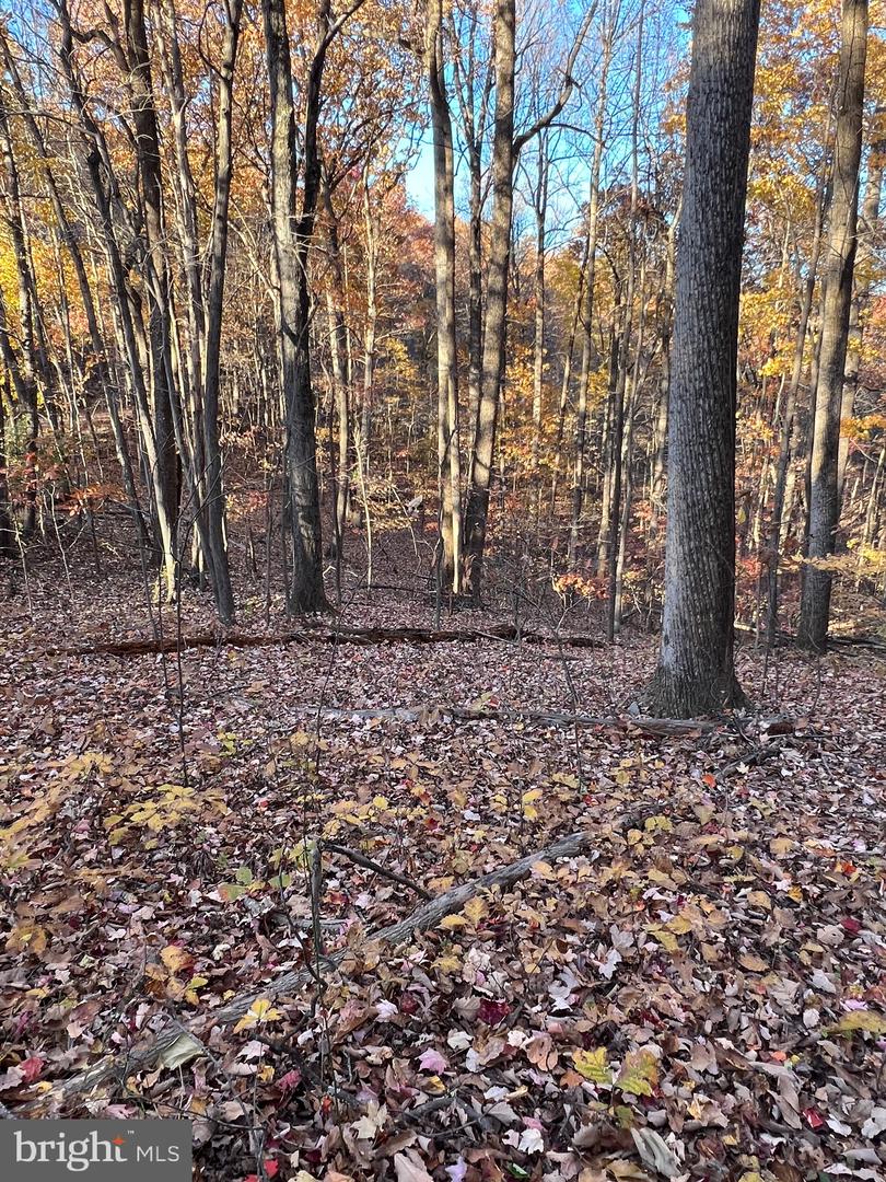 0 TIMBERLINE RIDGE RD, FRONT ROYAL, Virginia 22630, ,Land,For sale,0 TIMBERLINE RIDGE RD,VAWR2012716 MLS # VAWR2012716 0 TIMBERLINE RIDGE RD, FRONT ROYAL, Virginia 22630, ,Land,For sale,0 TIMBERLINE RIDGE RD,VAWR2012716 MLS # VAWR2012716