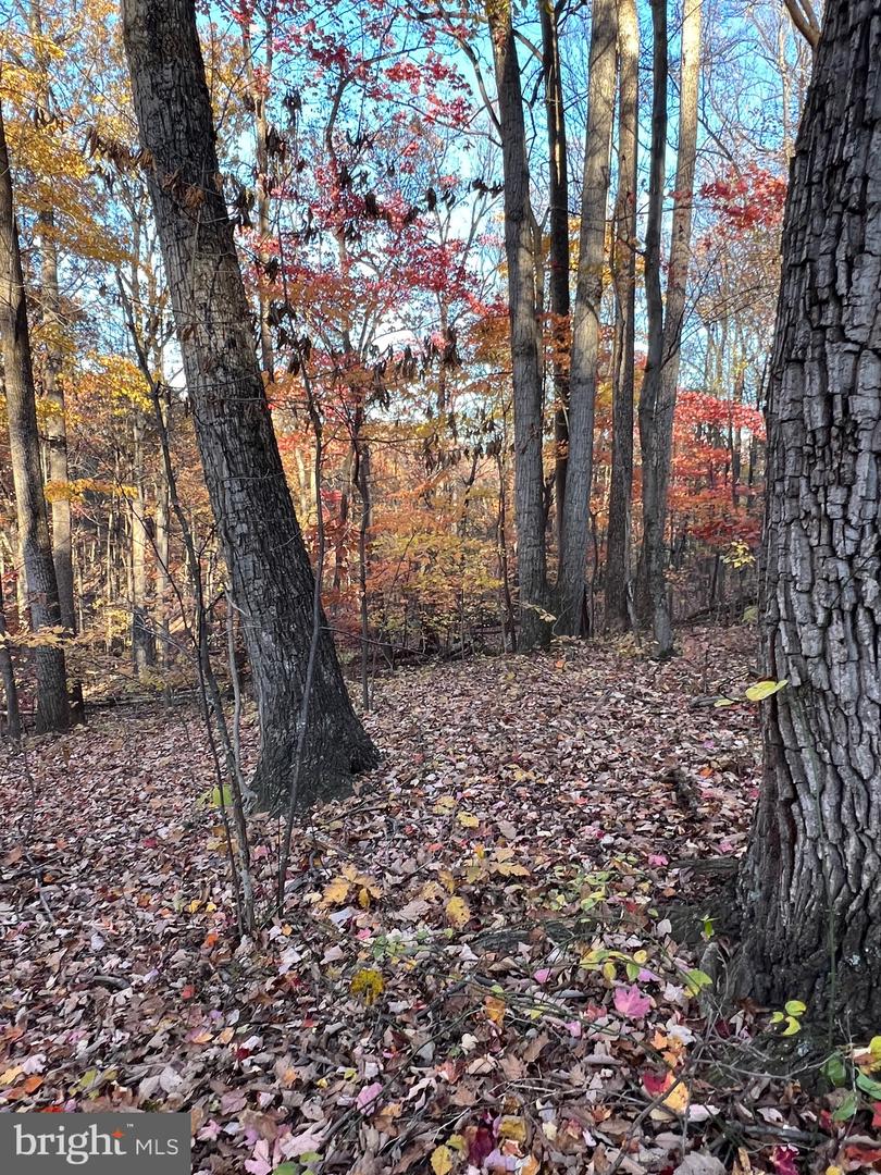 0 TIMBERLINE RIDGE RD, FRONT ROYAL, Virginia 22630, ,Land,For sale,0 TIMBERLINE RIDGE RD,VAWR2012716 MLS # VAWR2012716 0 TIMBERLINE RIDGE RD, FRONT ROYAL, Virginia 22630, ,Land,For sale,0 TIMBERLINE RIDGE RD,VAWR2012716 MLS # VAWR2012716