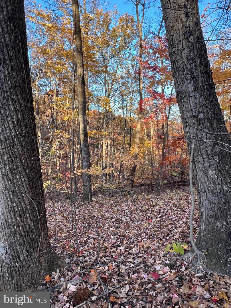 0 TIMBERLINE RIDGE RD, FRONT ROYAL, Virginia 22630, ,Land,For sale,0 TIMBERLINE RIDGE RD,VAWR2012716 MLS # VAWR2012716 0 TIMBERLINE RIDGE RD, FRONT ROYAL, Virginia 22630, ,Land,For sale,0 TIMBERLINE RIDGE RD,VAWR2012716 MLS # VAWR2012716