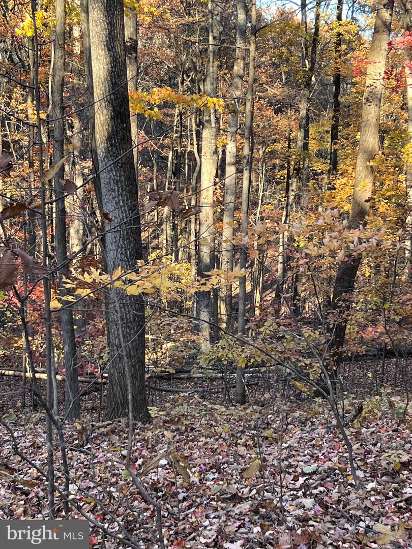 0 TIMBERLINE RIDGE RD, FRONT ROYAL, Virginia 22630, ,Land,For sale,0 TIMBERLINE RIDGE RD,VAWR2012716 MLS # VAWR2012716 0 TIMBERLINE RIDGE RD, FRONT ROYAL, Virginia 22630, ,Land,For sale,0 TIMBERLINE RIDGE RD,VAWR2012716 MLS # VAWR2012716