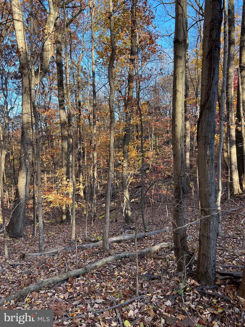 0 TIMBERLINE RIDGE RD, FRONT ROYAL, Virginia 22630, ,Land,For sale,0 TIMBERLINE RIDGE RD,VAWR2012716 MLS # VAWR2012716 0 TIMBERLINE RIDGE RD, FRONT ROYAL, Virginia 22630, ,Land,For sale,0 TIMBERLINE RIDGE RD,VAWR2012716 MLS # VAWR2012716