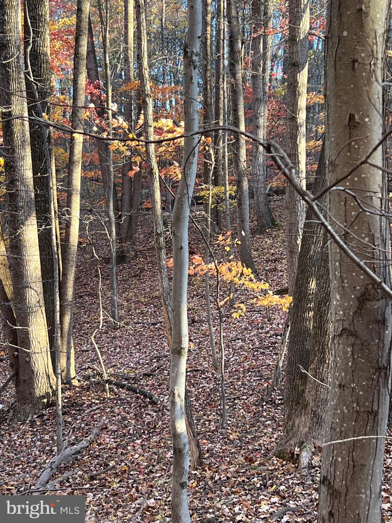 0 TIMBERLINE RIDGE RD, FRONT ROYAL, Virginia 22630, ,Land,For sale,0 TIMBERLINE RIDGE RD,VAWR2012716 MLS # VAWR2012716 0 TIMBERLINE RIDGE RD, FRONT ROYAL, Virginia 22630, ,Land,For sale,0 TIMBERLINE RIDGE RD,VAWR2012716 MLS # VAWR2012716