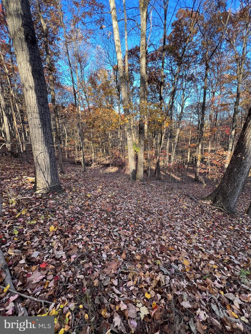 0 TIMBERLINE RIDGE RD, FRONT ROYAL, Virginia 22630, ,Land,For sale,0 TIMBERLINE RIDGE RD,VAWR2012716 MLS # VAWR2012716 0 TIMBERLINE RIDGE RD, FRONT ROYAL, Virginia 22630, ,Land,For sale,0 TIMBERLINE RIDGE RD,VAWR2012716 MLS # VAWR2012716