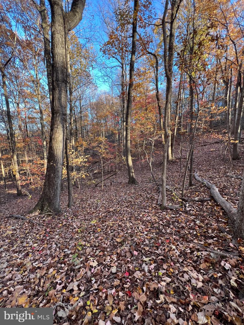 0 TIMBERLINE RIDGE RD, FRONT ROYAL, Virginia 22630, ,Land,For sale,0 TIMBERLINE RIDGE RD,VAWR2012716 MLS # VAWR2012716 0 TIMBERLINE RIDGE RD, FRONT ROYAL, Virginia 22630, ,Land,For sale,0 TIMBERLINE RIDGE RD,VAWR2012716 MLS # VAWR2012716