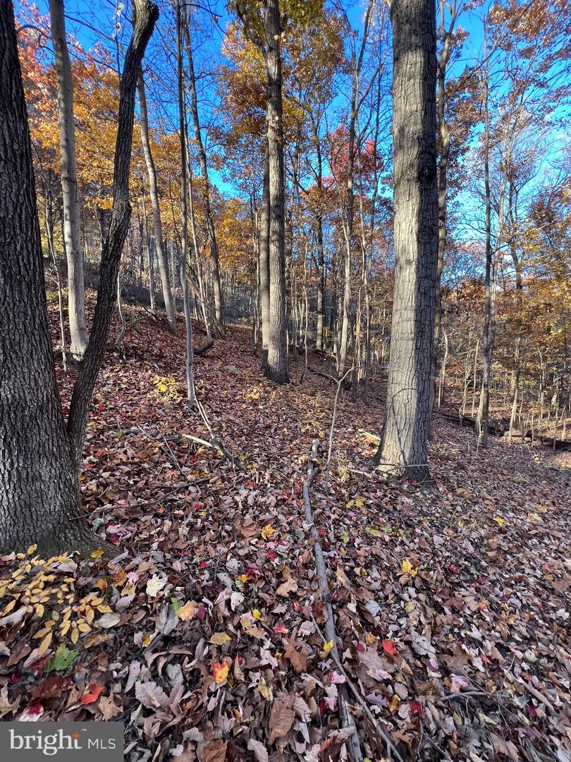 0 TIMBERLINE RIDGE RD, FRONT ROYAL, Virginia 22630, ,Land,For sale,0 TIMBERLINE RIDGE RD,VAWR2012716 MLS # VAWR2012716 0 TIMBERLINE RIDGE RD, FRONT ROYAL, Virginia 22630, ,Land,For sale,0 TIMBERLINE RIDGE RD,VAWR2012716 MLS # VAWR2012716