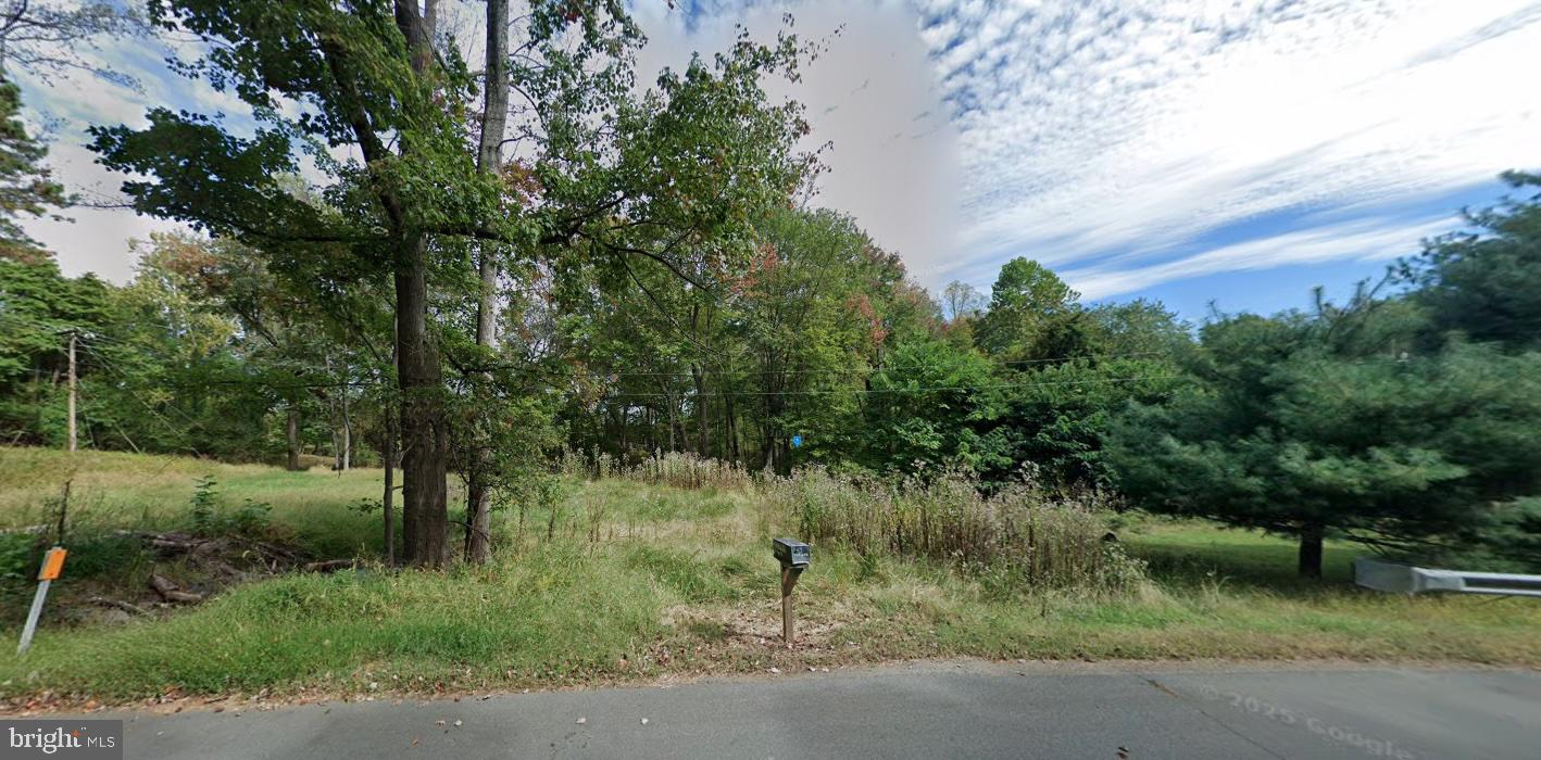 23826 NEW MOUNTAIN RD, ALDIE, Virginia 20105, ,Land,For sale,23826 NEW MOUNTAIN RD,VALO2110658 MLS # VALO2110658 23826 NEW MOUNTAIN RD, ALDIE, Virginia 20105, ,Land,For sale,23826 NEW MOUNTAIN RD,VALO2110658 MLS # VALO2110658