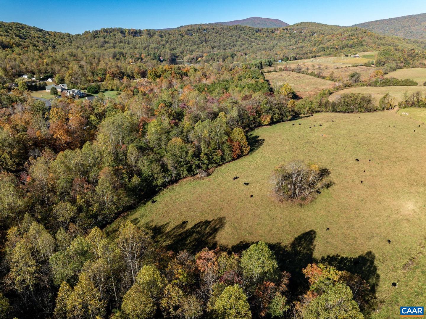 0 OCTONIA RD, STANARDSVILLE, Virginia 22973, ,Farm,For sale,0 OCTONIA RD,670773 MLS # 670773 0 OCTONIA RD, STANARDSVILLE, Virginia 22973, ,Farm,For sale,0 OCTONIA RD,670773 MLS # 670773