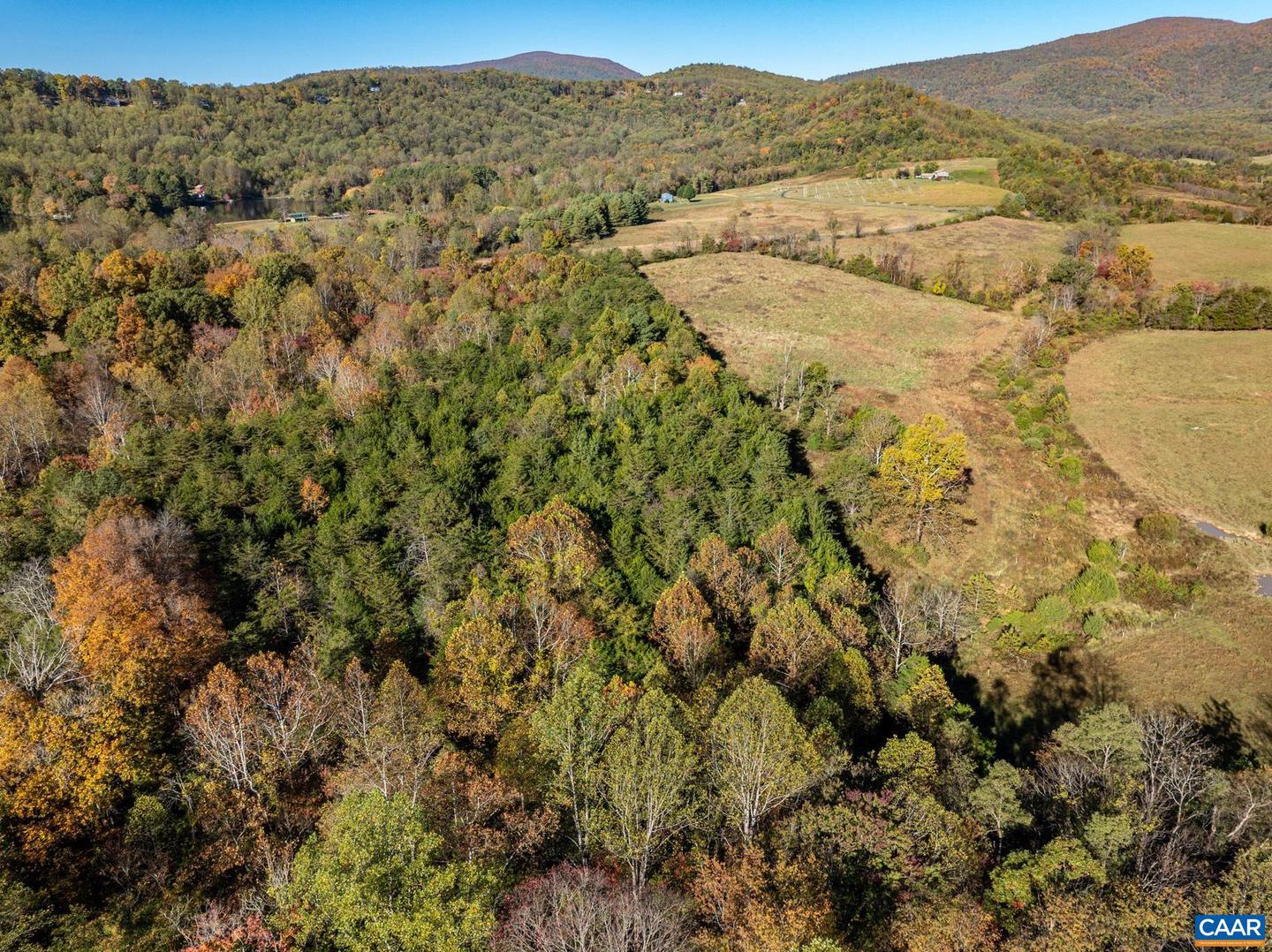 0 OCTONIA RD, STANARDSVILLE, Virginia 22973, ,Farm,For sale,0 OCTONIA RD,670773 MLS # 670773 0 OCTONIA RD, STANARDSVILLE, Virginia 22973, ,Farm,For sale,0 OCTONIA RD,670773 MLS # 670773