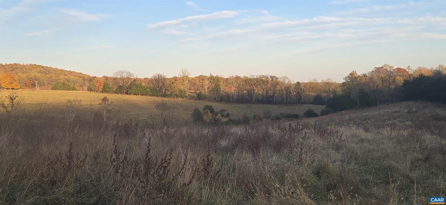 0 OCTONIA RD, STANARDSVILLE, Virginia 22973, ,Farm,For sale,0 OCTONIA RD,670773 MLS # 670773 0 OCTONIA RD, STANARDSVILLE, Virginia 22973, ,Farm,For sale,0 OCTONIA RD,670773 MLS # 670773