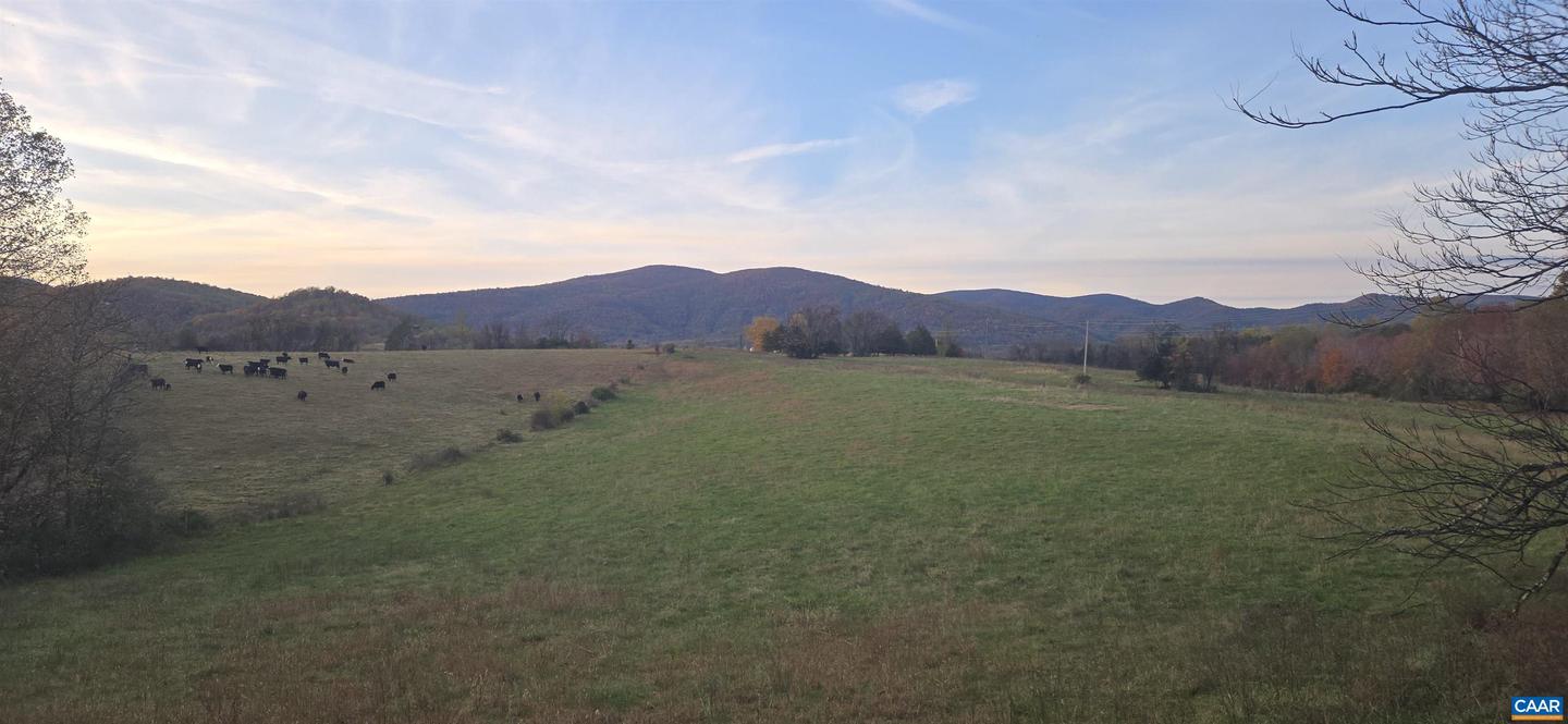 0 OCTONIA RD, STANARDSVILLE, Virginia 22973, ,Farm,For sale,0 OCTONIA RD,670773 MLS # 670773 0 OCTONIA RD, STANARDSVILLE, Virginia 22973, ,Farm,For sale,0 OCTONIA RD,670773 MLS # 670773