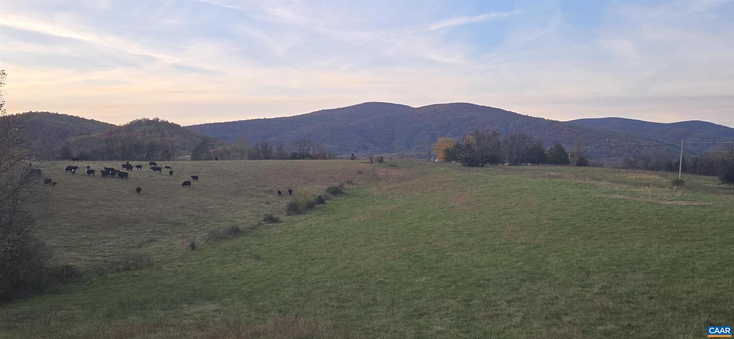 0 OCTONIA RD, STANARDSVILLE, Virginia 22973, ,Farm,For sale,0 OCTONIA RD,670773 MLS # 670773 0 OCTONIA RD, STANARDSVILLE, Virginia 22973, ,Farm,For sale,0 OCTONIA RD,670773 MLS # 670773