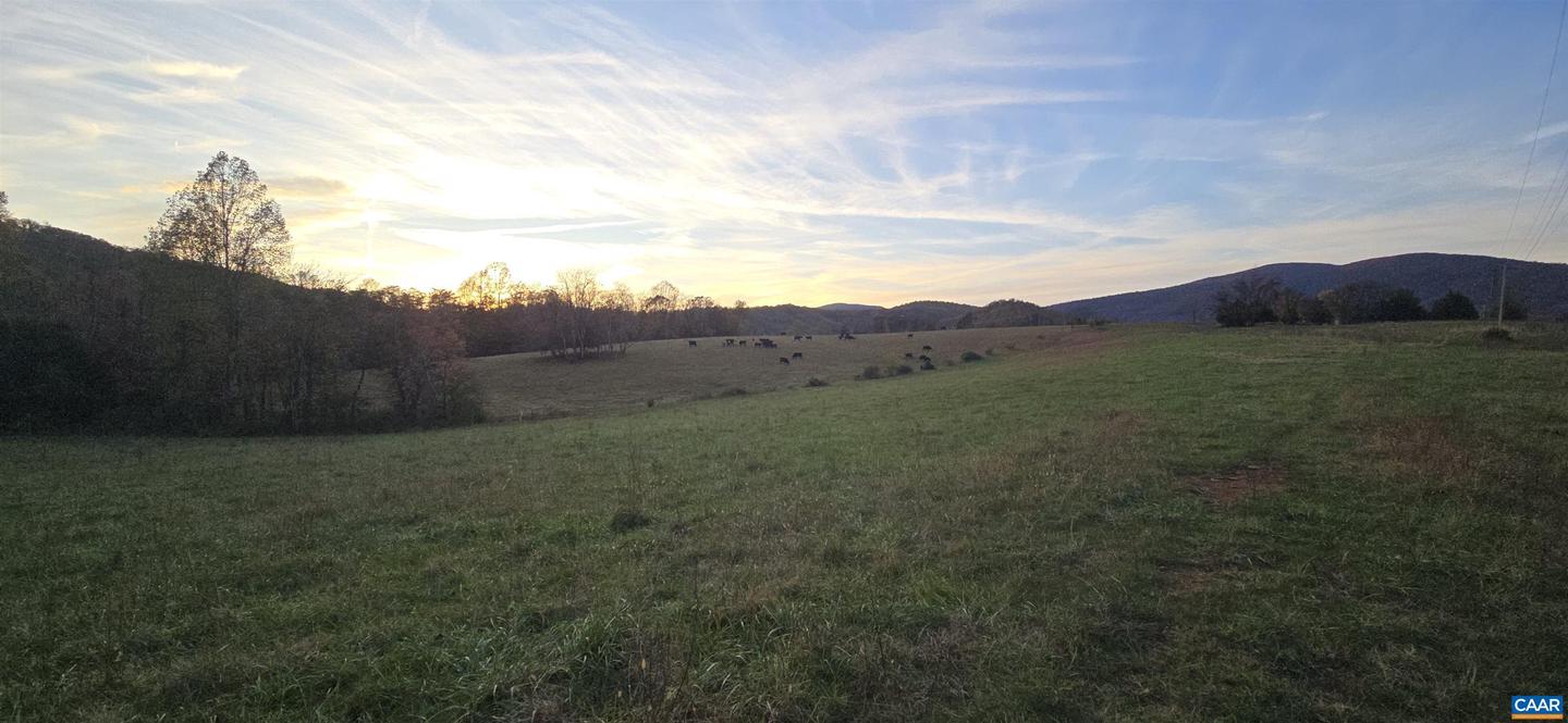 0 OCTONIA RD, STANARDSVILLE, Virginia 22973, ,Farm,For sale,0 OCTONIA RD,670773 MLS # 670773 0 OCTONIA RD, STANARDSVILLE, Virginia 22973, ,Farm,For sale,0 OCTONIA RD,670773 MLS # 670773