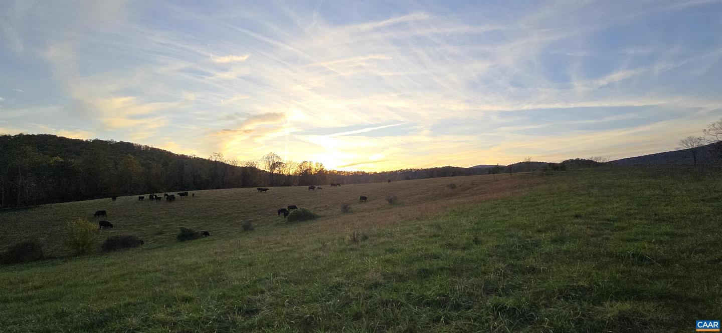 0 OCTONIA RD, STANARDSVILLE, Virginia 22973, ,Farm,For sale,0 OCTONIA RD,670773 MLS # 670773 0 OCTONIA RD, STANARDSVILLE, Virginia 22973, ,Farm,For sale,0 OCTONIA RD,670773 MLS # 670773