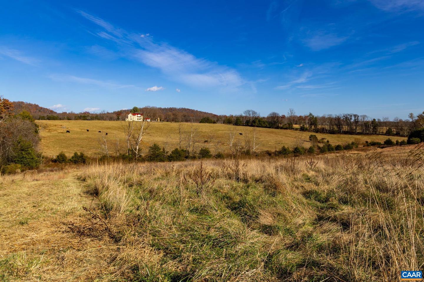 0 OCTONIA RD, STANARDSVILLE, Virginia 22973, ,Farm,For sale,0 OCTONIA RD,670773 MLS # 670773