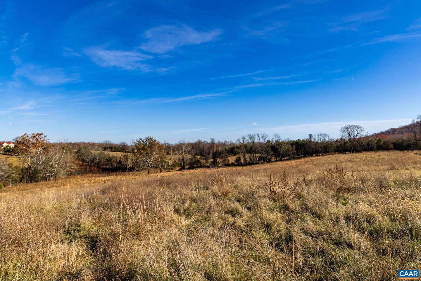 0 OCTONIA RD, STANARDSVILLE, Virginia 22973, ,Farm,For sale,0 OCTONIA RD,670773 MLS # 670773