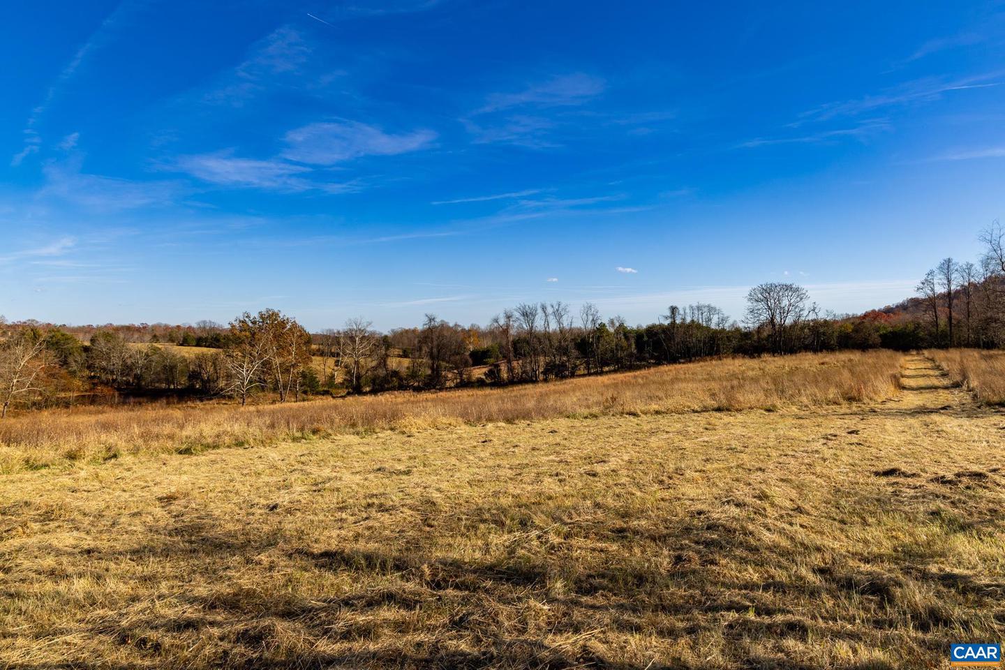 0 OCTONIA RD, STANARDSVILLE, Virginia 22973, ,Farm,For sale,0 OCTONIA RD,670773 MLS # 670773