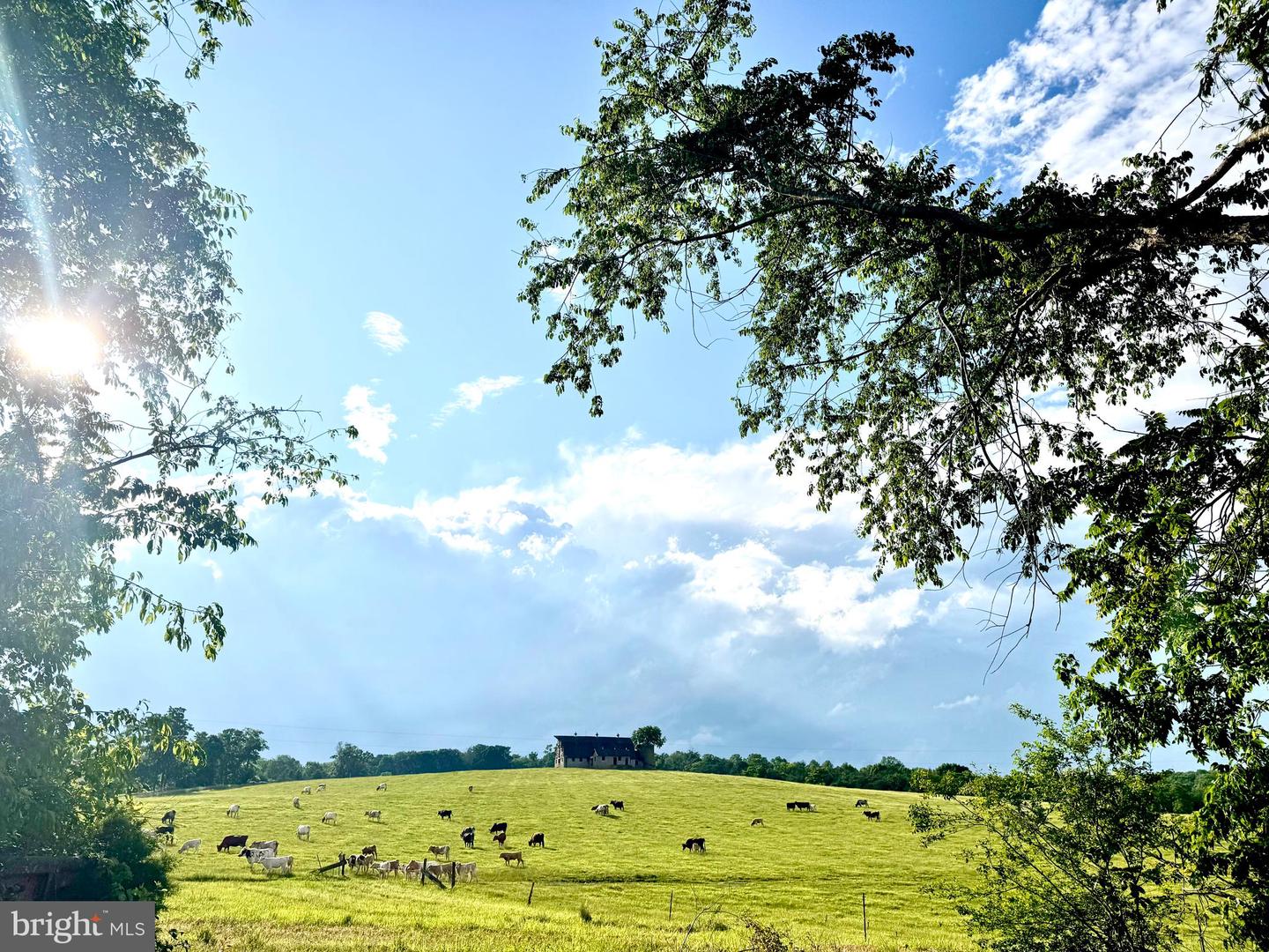 9195 WHITE SHOP, CULPEPER, Virginia 22701, 3 Bedrooms Bedrooms, ,2 BathroomsBathrooms,Residential,For sale,9195 WHITE SHOP,VACU2011206 MLS # VACU2011206 9195 WHITE SHOP, CULPEPER, Virginia 22701, 3 Bedrooms Bedrooms, ,2 BathroomsBathrooms,Residential,For sale,9195 WHITE SHOP,VACU2011206 MLS # VACU2011206