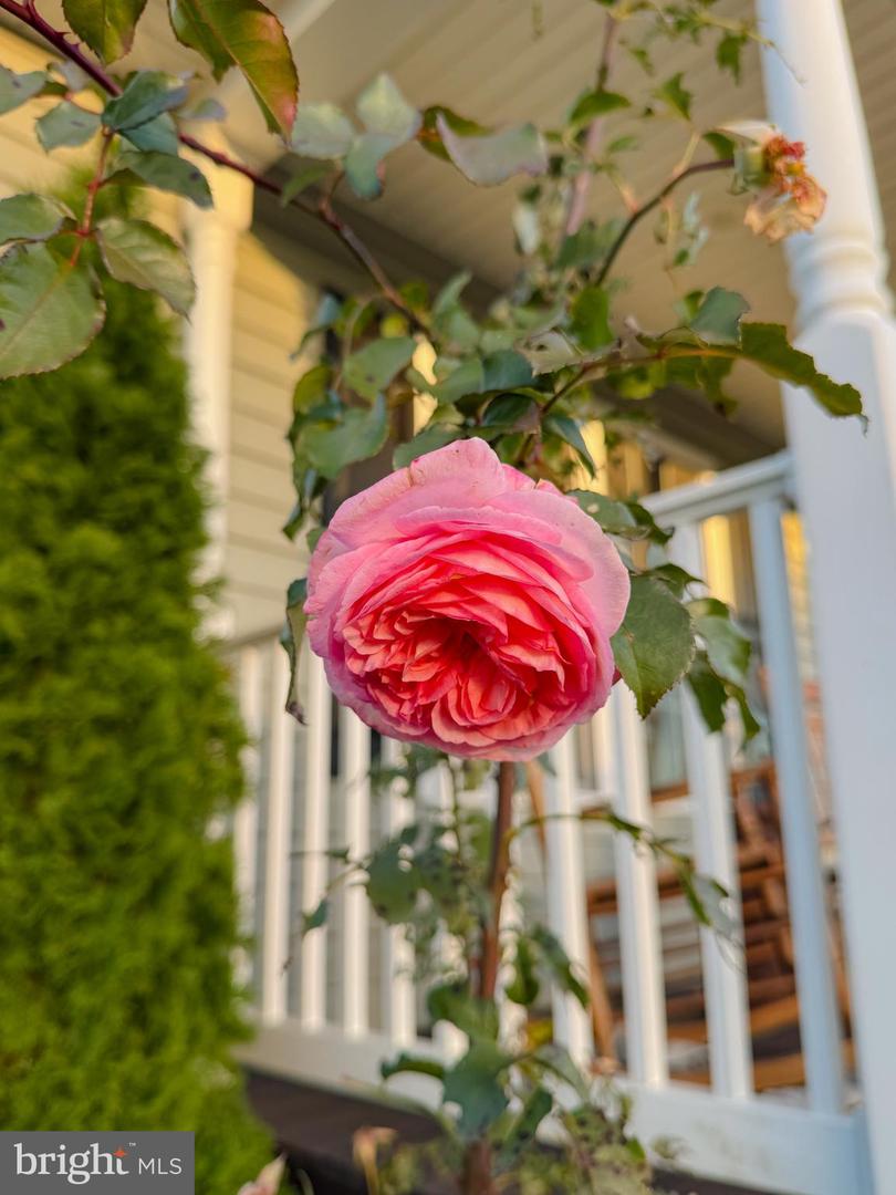 9195 WHITE SHOP, CULPEPER, Virginia 22701, 3 Bedrooms Bedrooms, ,2 BathroomsBathrooms,Residential,For sale,9195 WHITE SHOP,VACU2011206 MLS # VACU2011206 9195 WHITE SHOP, CULPEPER, Virginia 22701, 3 Bedrooms Bedrooms, ,2 BathroomsBathrooms,Residential,For sale,9195 WHITE SHOP,VACU2011206 MLS # VACU2011206