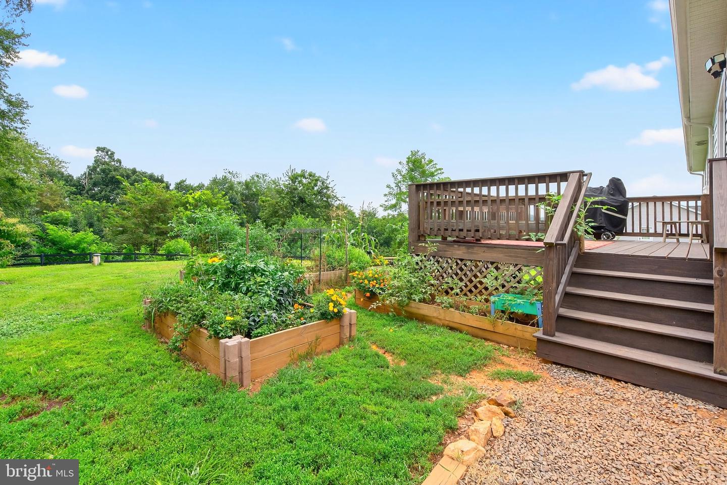 9195 WHITE SHOP, CULPEPER, Virginia 22701, 3 Bedrooms Bedrooms, ,2 BathroomsBathrooms,Residential,For sale,9195 WHITE SHOP,VACU2011206 MLS # VACU2011206 9195 WHITE SHOP, CULPEPER, Virginia 22701, 3 Bedrooms Bedrooms, ,2 BathroomsBathrooms,Residential,For sale,9195 WHITE SHOP,VACU2011206 MLS # VACU2011206