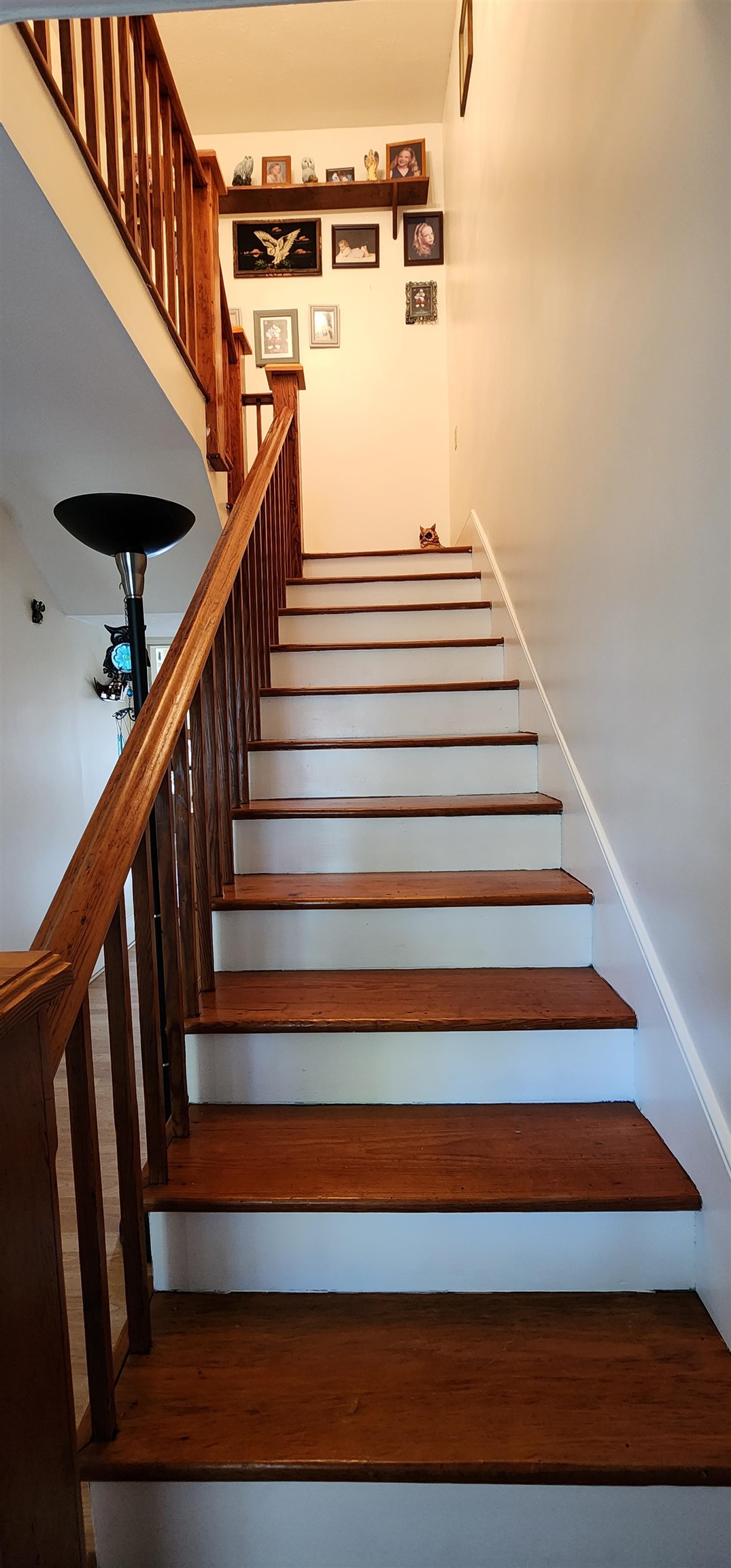 1546 PARKERSBURG TPKE, SWOOPE, Virginia 24479, 3 Bedrooms Bedrooms, ,2 BathroomsBathrooms,Residential,1546 PARKERSBURG TPKE,670753 MLS # 670753 1546 PARKERSBURG TPKE, SWOOPE, Virginia 24479, 3 Bedrooms Bedrooms, ,2 BathroomsBathrooms,Residential,1546 PARKERSBURG TPKE,670753 MLS # 670753