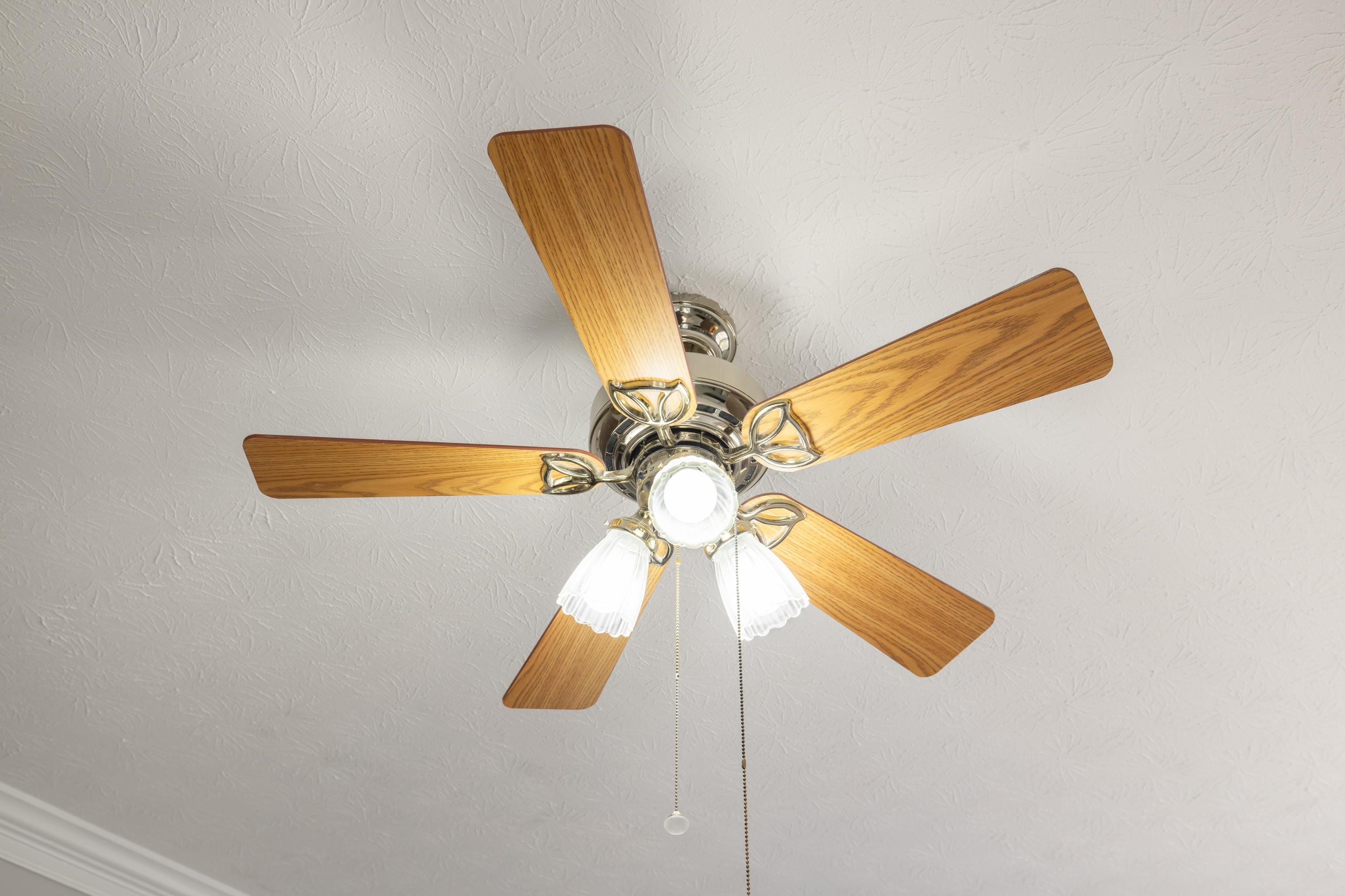 22 BEATRICE CT, FISHERSVILLE, Virginia 22939, 5 Bedrooms Bedrooms, ,3 BathroomsBathrooms,Residential,22 BEATRICE CT,670760 MLS # 670760 22 BEATRICE CT, FISHERSVILLE, Virginia 22939, 5 Bedrooms Bedrooms, ,3 BathroomsBathrooms,Residential,22 BEATRICE CT,670760 MLS # 670760