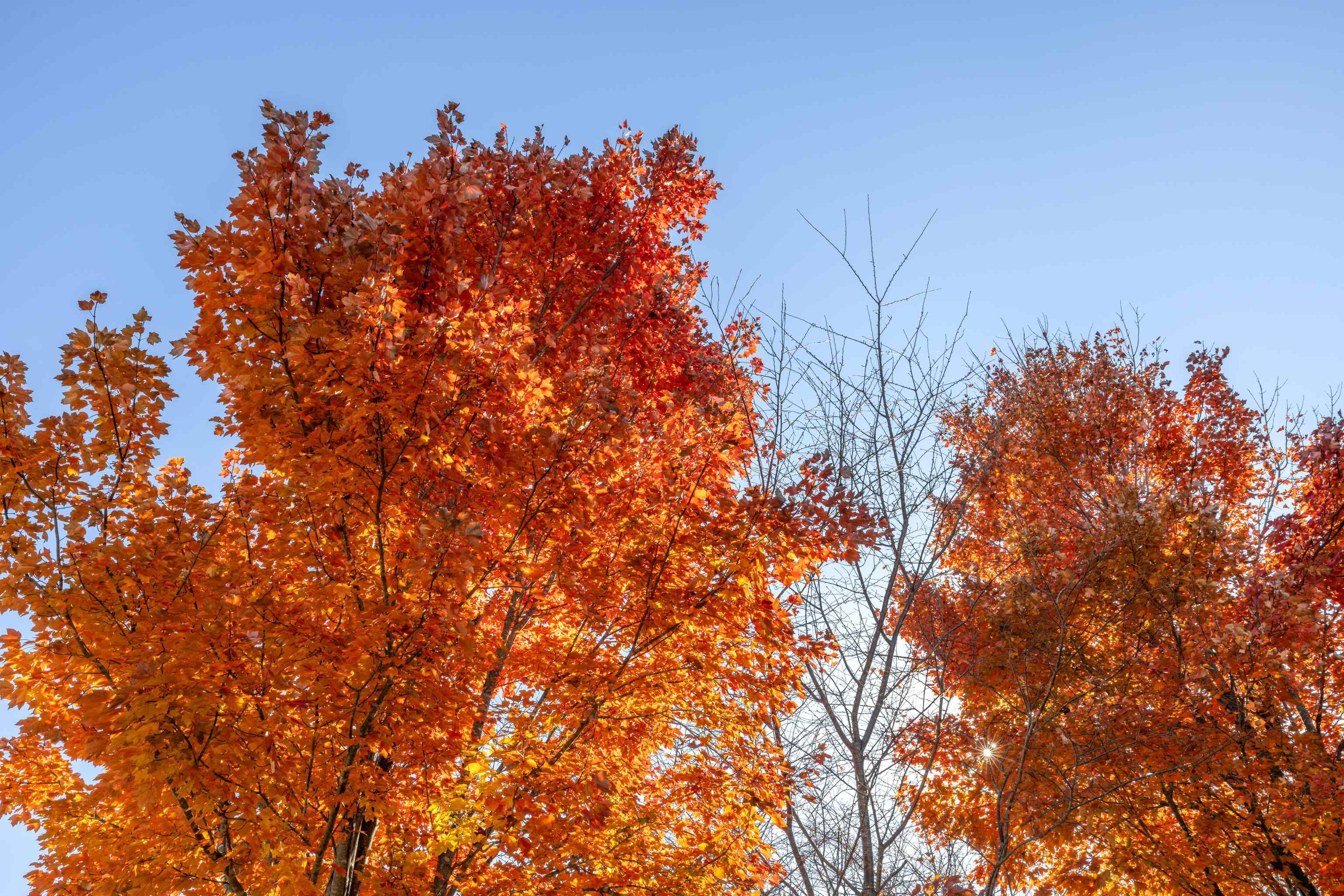 22 BEATRICE CT, FISHERSVILLE, Virginia 22939, 5 Bedrooms Bedrooms, ,3 BathroomsBathrooms,Residential,22 BEATRICE CT,670760 MLS # 670760 22 BEATRICE CT, FISHERSVILLE, Virginia 22939, 5 Bedrooms Bedrooms, ,3 BathroomsBathrooms,Residential,22 BEATRICE CT,670760 MLS # 670760