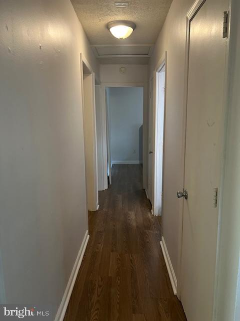 15150 PAIGE RD, WOODFORD, Virginia 22580, 3 Bedrooms Bedrooms, ,1 BathroomBathrooms,Residential,For sale,15150 PAIGE RD,VACV2008880 MLS # VACV2008880 15150 PAIGE RD, WOODFORD, Virginia 22580, 3 Bedrooms Bedrooms, ,1 BathroomBathrooms,Residential,For sale,15150 PAIGE RD,VACV2008880 MLS # VACV2008880